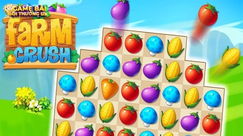 Candy Fruit